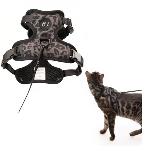 LucyBalu® Explorer Katzengeschirr mit Leine – Leo XS/S | Brustgeschirr-Set mit AirTag-Fach, verstellbar, atmungsaktiv, für Freigang & Ausflüge