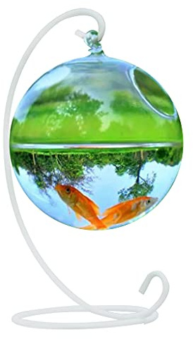 Asukohu Wand für Aquarium mit Ständer, Fischhäuser, transparente Pflanze, Terrarium, Schale für Tank, Blume, Pflanze, Vase, klare runde Form, Sa-Glas, Hängeschale