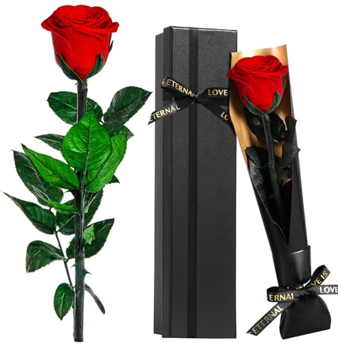 Touloube Ewige Infinity Rosen Geschenk zum Muttertag für Mama, Rot Rose Blumen Geschenke für Frauen, für Mama Freundin Ehefrau Freundinnen, Eternal Rose Geburtstagsgeschenk Jahrestag Geschenk Frau