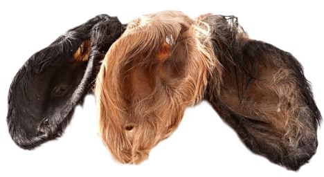 123... Hund dabei! - Kalbs-/Rinderohren mit Muschel und Fell XXL, schonend getrocknet, gut verträglich, natürliche Magen-Darm Reinigung (25)