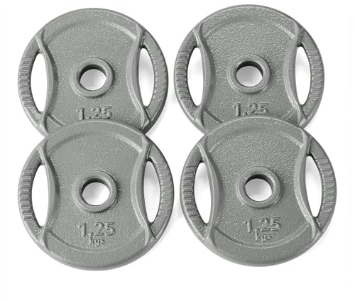 Amazon Basics Hantelscheibe mit 2,54 cm Griff, 4 x 1,25 kg