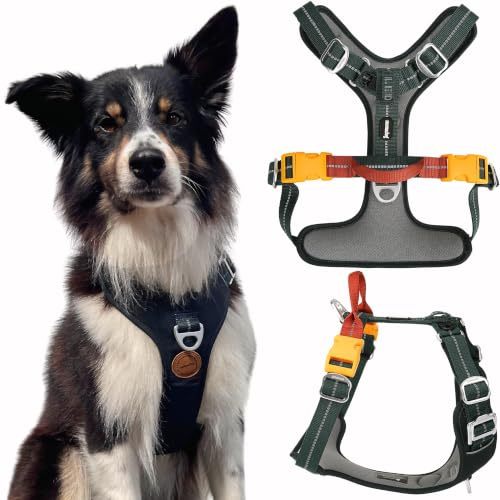 Nomadog Trailblazer Anti Zug Hundegeschirr Mittelgrosse Hunde mit Griff - Gepolstert, Verstellbar für Ganztägigen Komfort, Aluminium-Beschläge, 3M Reflektor – Ideal Für Aktive Hunde (M)