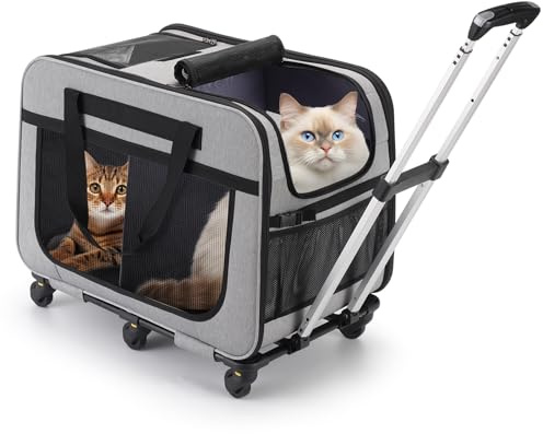 Extra Große Katzentransportbox für 2 Katzen, mit 6-Rollen, bis 20kg, Grau | 3-in-1-Design mit abnehmbarer Trennwand, Abnehmbarer Trolley, 2 Sicherheitsleinen, Faltbar