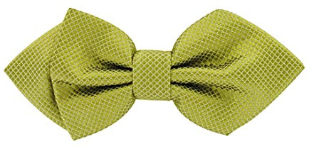 axy Kinderfliege Fliege Jungen Kinder Schleife bereits gebunden verstellbar 12 x 5 cm KFLI4 (Grüngelb)
