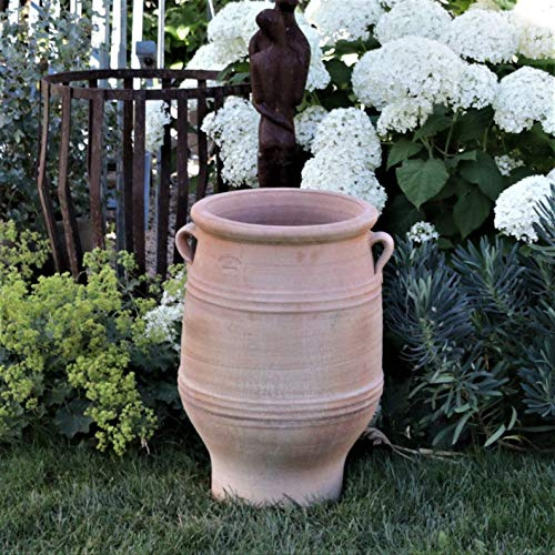 Terracotta Amphore Thymus 50cm - 100% Handgefertigtes Unikat - Exklusive winterfeste Amphore für den Garten- & Innenbereich