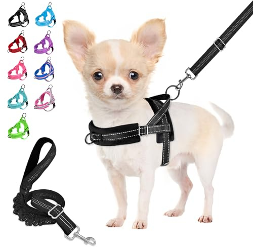 Eyein Hundegeschirr mit Leine für mittelgroße Kleine Hunde, Leichtgewicht | Weich Gepolstert & Reflektierend No-Pull Brustgeschirr mit 2 Leinenclips, verstellbar an Hals & Brust (Schwarz, XS)