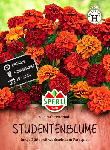 SPERLI Studentenblumensamen SPERLI's Feuerball 87248 – gefüllte Tagetes mit Farbwechsel von Rot zu Bronze und Gold, 20–30 cm, lange Blüte, ideal für Kübel, Topf und Beet