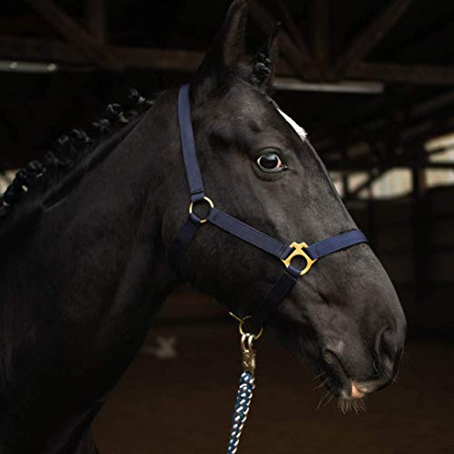 Pferdelinis Halfter für Pferd Warmblut, Vollblut, Kaltblut – Stallhalfter, Weidehalfter, 2 Fach verstellbar an Kinnriemen und Genickstück, sicher & reißfest (Dunkelblau, Kaltblut)