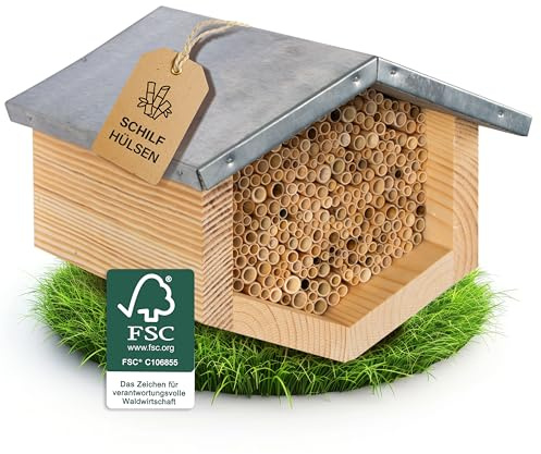 BEESI Premium Bienenhotel mit Metalldach & Schilf-Röhrchen – FSC®-Zertifiziertes Insektenhaus für kleine & mittelgroße Wildbienen – Splitterfreie Nisthilfe zum Aufhängen