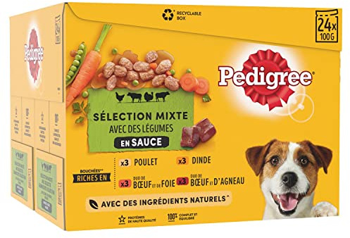 Pedigree Vital Protection Hundenassfutter im Beutel – Hundefutter in Sauce mit Huhn, Rind, Truthahn & Lamm –2 x 24 x 100g Großpackung