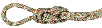 Mammut 9.5 Gym Classic Kletterseil 40 m – Hallenkletterseil, 9,5 mm Durchmesser, Boa-White