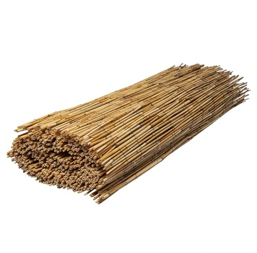 WERKA PRO Schilfrohrmatte 1 x 5 m
