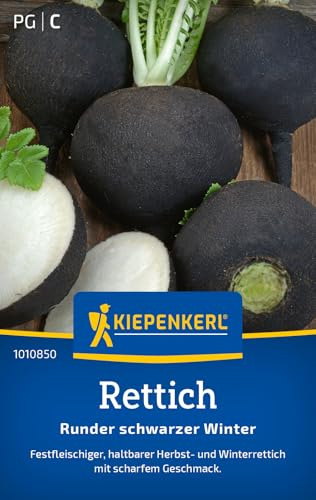 Kiepenkerl Rettichsamen Runder schwarzer Winter 1010850 - Gemüsesamen für einen festfleischigen Winterrettich mit Inhalt für 15 bis 20 lfd. Meter - Gemüse Pflanzen, Saatgut
