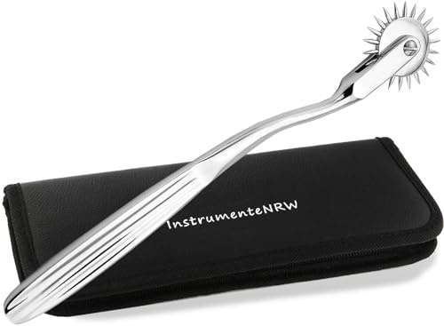 Nadelrad Massagerad Rostfrei Nadelroller 1 Rad Rolle für Sinnliche Massageanwendungen 18 cm - Mit Etui