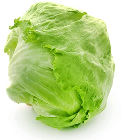 150 Eisbergsalatsamen - Potage -Salat - reproduzierbare Bauernsamen - Aussaat