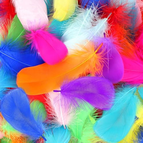 Mbsomnus 600 Stück Federn zum Basteln Bunte Federn Natürliche Feder | Bastelfedern, 5-12 cm, für DIY Handwerk, Traumfänger, Ohrringen, Kopfschmuck, Federblumen, Hochzeit, Weihnachten, Party Deko