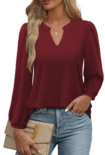 Cerrlop Langarm Lochstickerei Bluse Damen: Business Bluse Bügelfrei Elegant Arbeitsbluse - Locker Doppellagige Atmungsaktiv Tunika Shirt - Festliche Formal Abendbluse - V-Ausschnitt Leicht Damenshirt