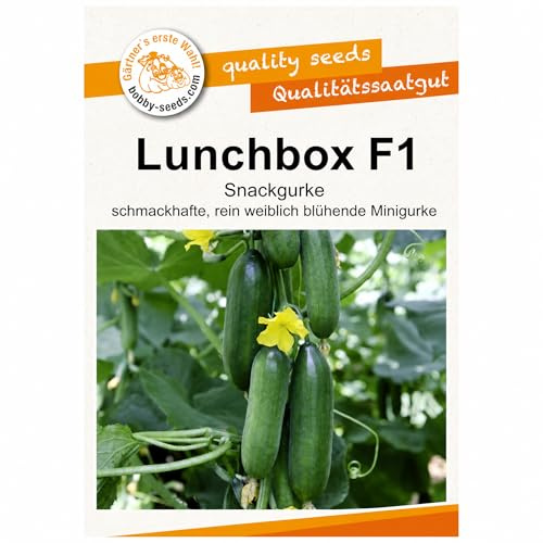 Bobby-Seeds Snackgurke Lunchbox F1 Gurkensamen, ca. 10 Korn, Minigurke 10–14 cm, ertragreich & resistent, ideal für Gewächshaus, Balkon & Garten