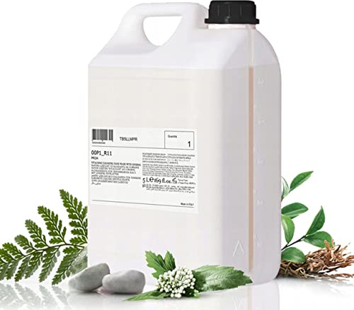 Prija Flüssigseife Nachfüllpackung - 5L - Vitalisierende Handseife mit Pflanzenextrakten, Sanft und Feuchtigkeitsspendend, Ideal für Zuhause, Hotels und Büros, Gfl