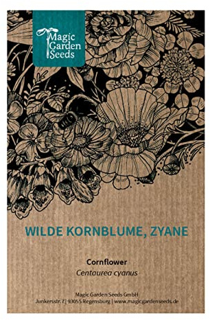Wilde Kornblume, Zyane (Centaurea cyanus) 200 Samen Roggenblume, blaue Schneider