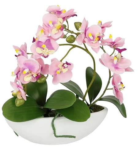 Künstliche Orchidee in Schale 27cm Kunstblume Blume Kunstorchidee Phalaenopsis mit Übertopf Kunstpflanze Hochzeit Deko Schmetterling Phalaenopsis Dekoblume Seidenblume Blumenarrangements, rosa