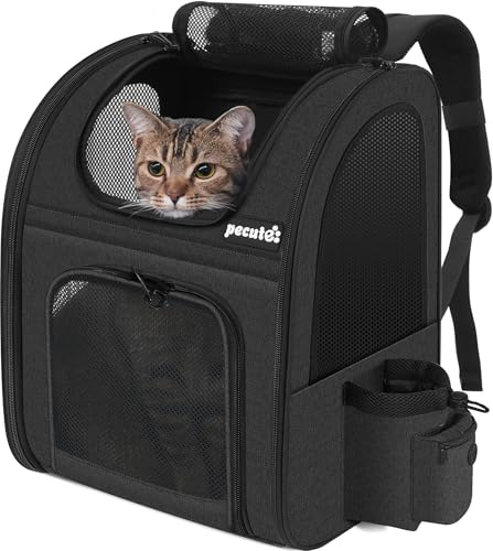pecute Haustier Rucksack mit Netzfenster, Tragbare und Faltbare Katzentasche, Atmungsaktive und Leichte Hundetasche, Wasserdichtes Oxford-Tuch mit viel Platz, Multifunktional rutschfest Schwarz 6kg