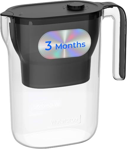 Waterdrop Wasserfilter Kanne Kühlschrank Wasserfilterkrug mit 3-Monats-Filter, 2,5 L, Reduziert Fluorid, Chlor und Mehr, NSF-zertifiziert, BPA-frei, Schwarz (Ersatzfilter: WD-PF-01A Plus)
