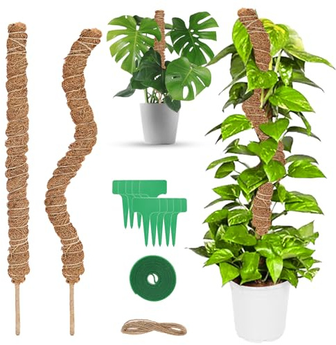 talifoca Monstera Rankhilfe, 2 Stück 60cm Biegsame Moosstäbe für Pflanzen, Pflanzstab Kokos Moosstab, Monstera Stab mit Zubehör, Moosstab-Set für Kletterpflanzen Pflanzenstütze