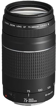Canon EF 75-300mm F4.0-5.6 III Zoomobjektiv (58mm Filtergewinde) schwarz