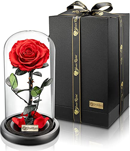YourRoses® echte Premium Rose im Glas mit Einer wunderschönen Geschenkbox | Lange Haltbarkeit & edles Geschenk als Liebesbeweis | EIN Geschenk vom Herzen