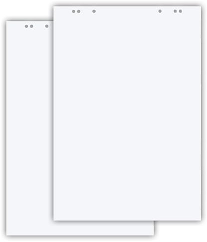 Conipa® - 2 x Flipchart Papier Block 65x98 cm weiß (BLANKO) 80 g/qm - 2 Flipchart-Blöcke à 20 Blatt - Whiteboard-Papier für Charts & Meetings (2 Blöcke Blanko)