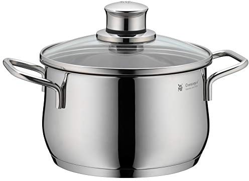 WMF Diadem Plus Kochtopf Induktion 16 cm – 2 l großer Fleischtopf aus Cromargan Edelstahl mit Glasdeckel, hohem Rand, spülmaschinenfest, langlebig und unbeschichtet für gesunde, leckere Mahlzeiten