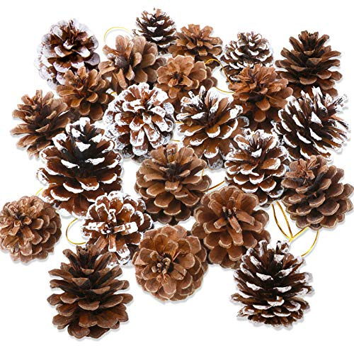 HOWAF 25 Stück Natürliche Tannenzapfen, 5 bis 6 cm Größe Tannenzapfen zum basteln, Tannenzapfen Weihnachtsbaum Kiefernzapfen Pinienzapfen mit Schnur für Christbaumschmuck Adventskranz Weihnachtsdeko