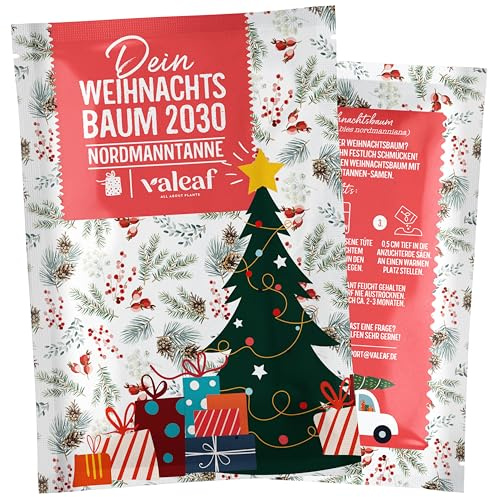valeaf Weihnachtsbaum 2030 - Nordmanntanne Pflanzen Samen zum Weihnachtsbaum pflanzen ideal als Geschenk und Wichtelgeschenk