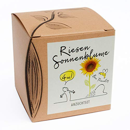 Geschenk-Anzuchtset Riesensonnenblume