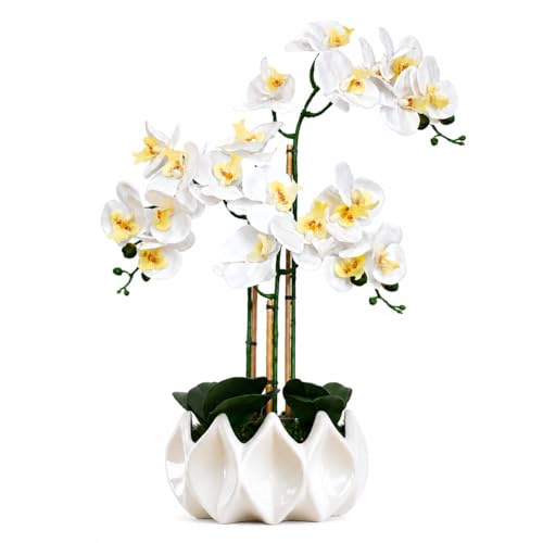BelaLusa® Künstliche Orchideen wie echt 70 cm - Phalaenopsis im weißen Keramik-Topf mit Bambus & Naturmoos, pflegefrei & ohne Gießen - Kunstblumen Deko Wohnzimmer & Büro (Weiß)