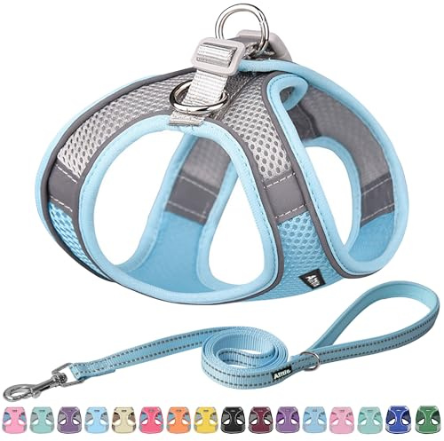 AIITLE Bequemes Hundegeschirr und Leine für Spaziergänge, Blau XS | Schritt in Weste Geschirr, reflektierende Bänder, verstellbare No Pull Puppy Essentials, für kleine Hunde und Hauskatzen