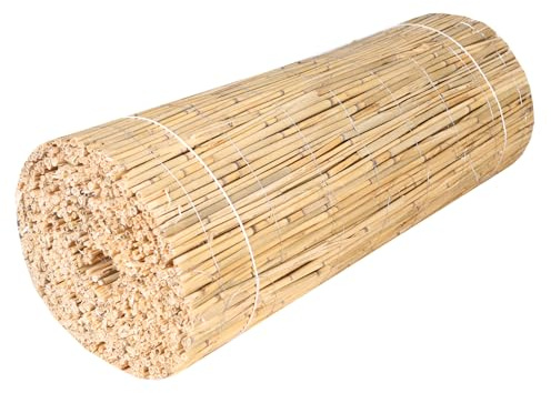 H4L Schilfmatte Sichtschutzmatte Schilfrohrmatte Natur Sichtschutz Windschutz Schilf 300x60cm