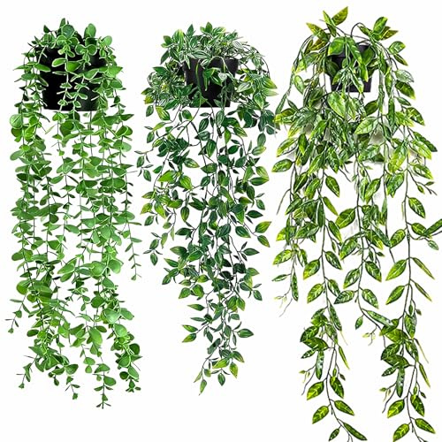 Aurevita 3PCS Künstliche Hängepflanzen Dutch Bean, Mandala & Eucalyptus Blätter, Kunstpflanzen für Wohnzimmer, Wand, Zuhause & Terrasse Deko, Aesthetic Home Decoration