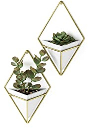 Umbra Trigg Wandvase & Geometrische Deko – Übertopf Für Zimmerpflanzen, Sukkulenten, Luftpflanzen, Kakteen, Kunstpflanzen und Mehr, 2er-Set, Klein, Weiss/Messing