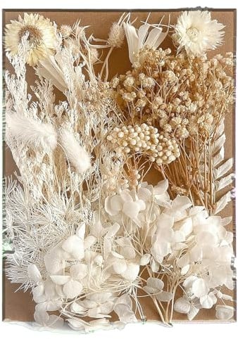 Getrocknete Blumen, Trockenblumen zum Basteln Natürliche Trockenblumenstrauß Schleierkraut Getrocknet für DIY Epoxidharz Scrapbook Zubehör Handgemachte Heimdekoration Hochzeit (Weiß)