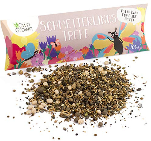 Schmetterlingstreff Blumenmischung: 100g Premium Schmetterling Blumensamen Saatgut - Insektenfreundliches Bienenweide Saatgut, Blumenwiese Samen mehrjährig und einjährig - Wildblumensamen von OwnGrown