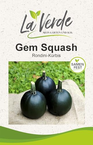 La Verde MEIN GARTEN UND ICH. Gem Squash Kürbissamen, Grün
