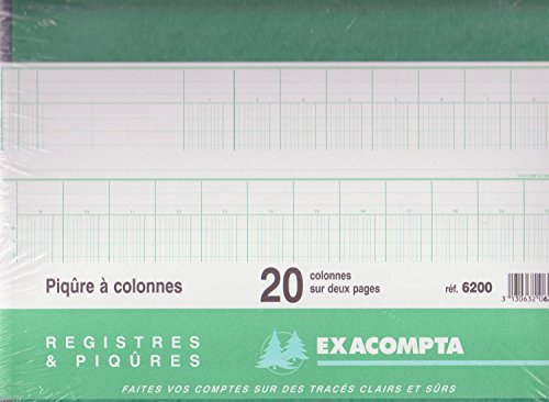 EXACOMTA Spaltenbuch, 20 Spalten auf 2 Seiten, 24 Zeilen VE = 1