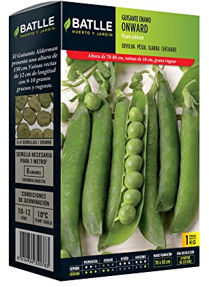 Semillas Batlle Erbsensamen Zwergerbse Lincoln 1 kg