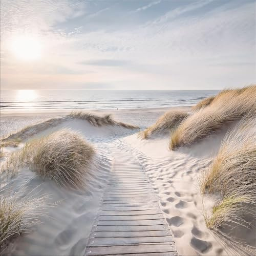 artissimo Glasbild 30x30 cm Strand und Meer Holzweg durch die Dünen AG5607A – Bild aus Glas, maritimes Wandbild & Wanddeko quadratisch