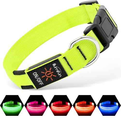 Illumifun Leuchthalsband Hund, USB LED Hundehalsband, Wiederaufladbar Hundehalsband Leuchtend für Hunde Einstellbare Größe, 3 Beleuchtungsmodi für Mittlere Hunde (Grün, M)