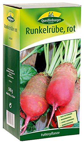 Quedlinburger 205007 Runkelrübe rot, 500 g (Rübensamen)