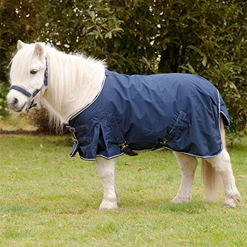 Shetty-Regendecke Light
