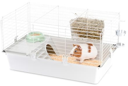 Ferplast Kaninchenkäfig käfig für Hasen, Nagerkäfig, Meerschweinchen- Kaninchenstall mit Zubehör, 77 x 48 x H 42 cm